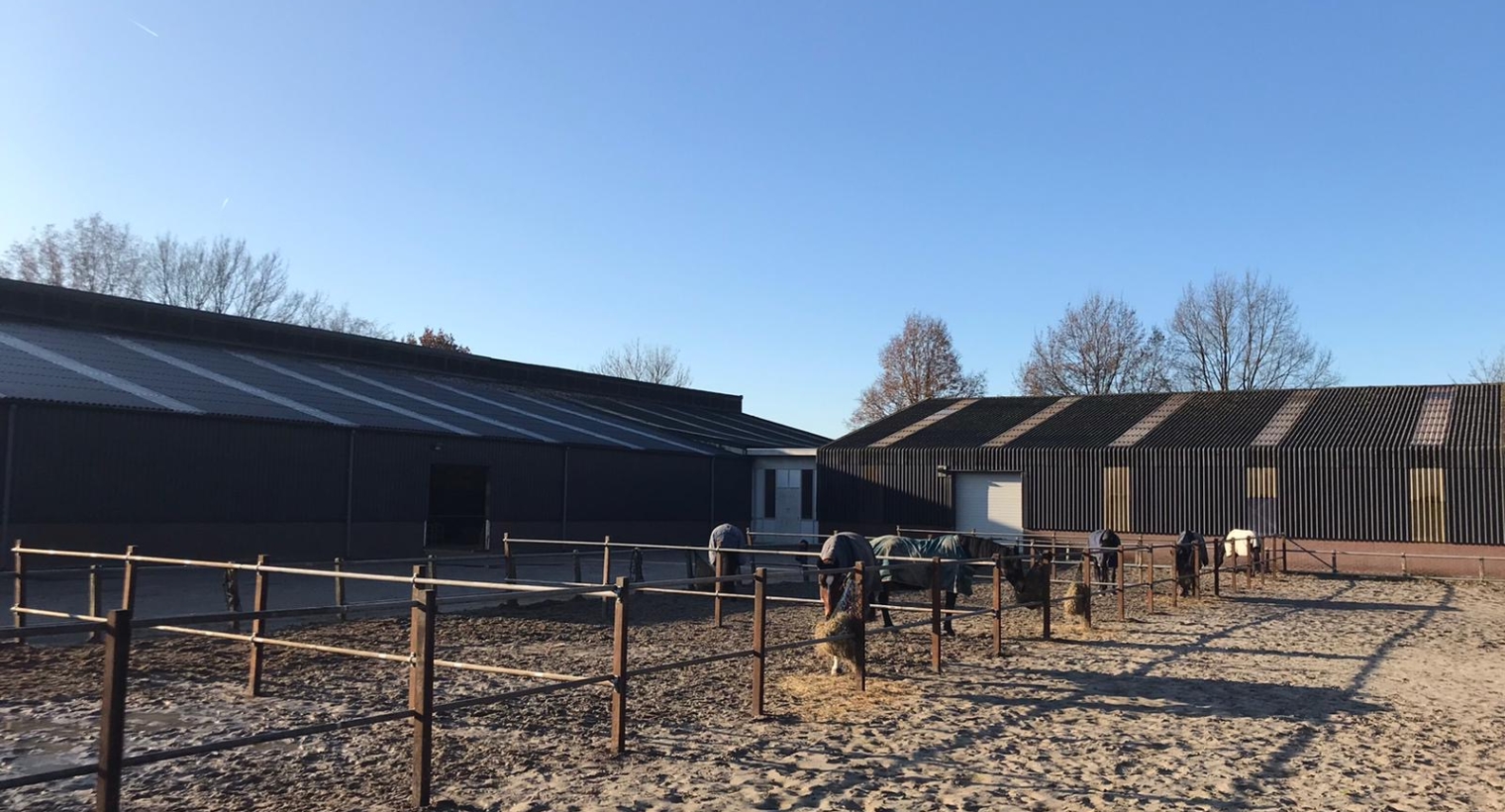 Nieuwe paddocks!